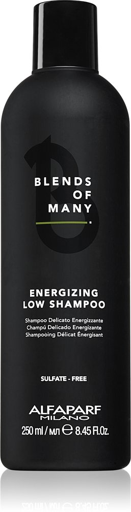 Alfaparf Milano Blends of Many Energizing 250 ml