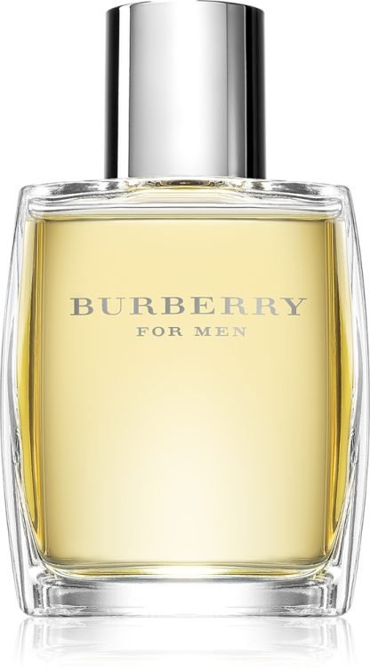 Burberry Burberry for Men 100 ml
