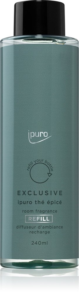 ípuro Exclusive Thé Epicé 240 ml