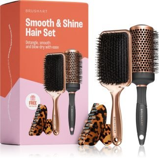 BrushArt Hair Smooth & Shine Hair Set