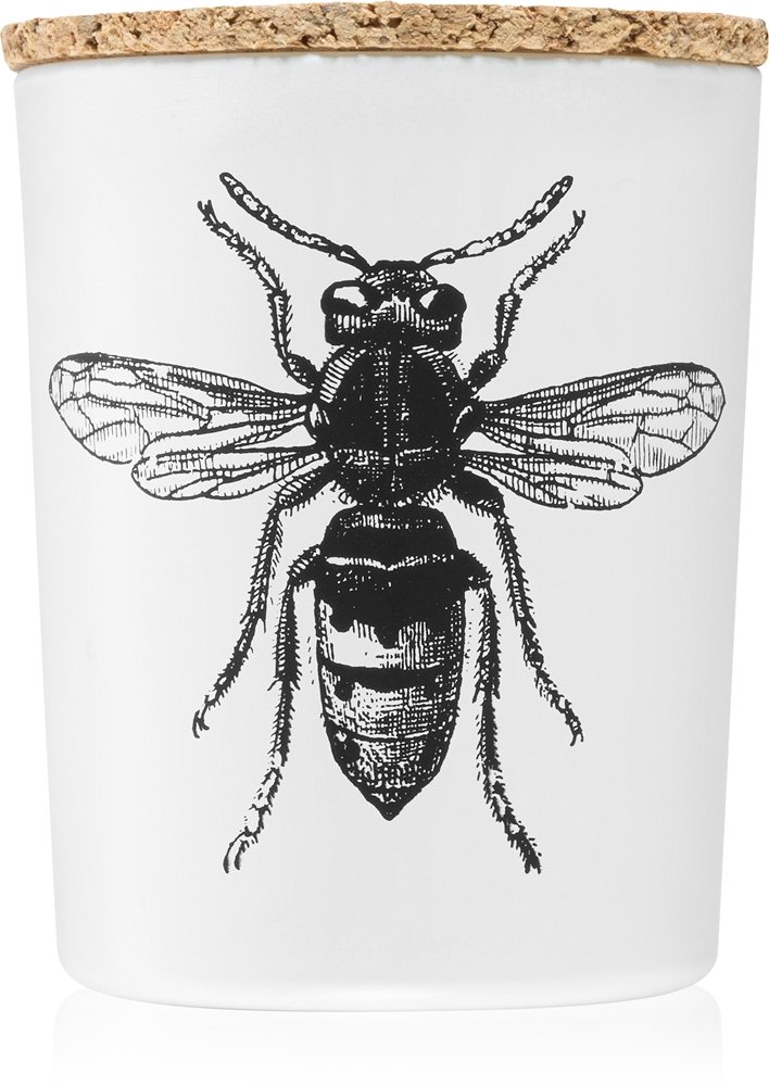 Vila Hermanos Insect Calabrone 75 g
