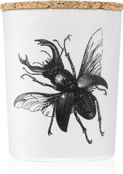 Vila Hermanos Insect Lucanus Cervus 75 g