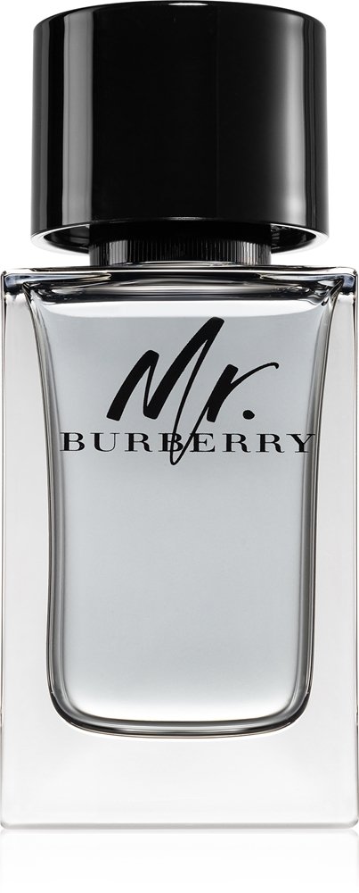 Burberry Mr. Burberry 100 ml