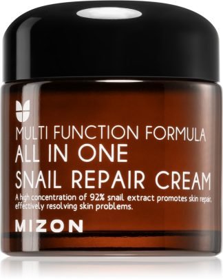Mizon Multi Function Formula Snail 120 ml