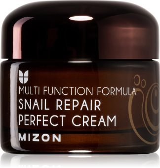 Mizon Multi Function Formula Snail 50 ml