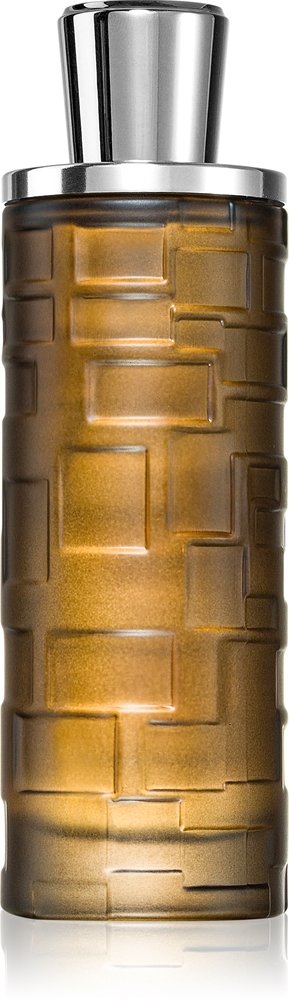 Al Haramain Mystique Homme 100 ml