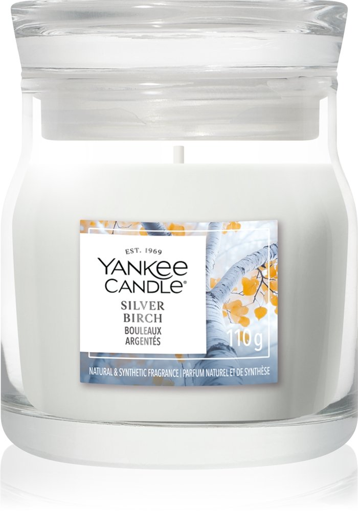 Yankee Candle Silver Birch 567 g