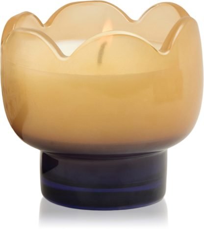 Paddywax Tulip Garden & Grove 155 g