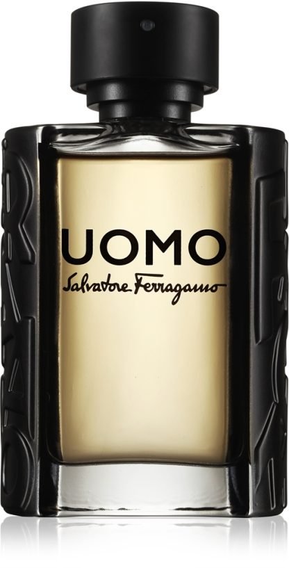 Ferragamo Uomo 100 ml